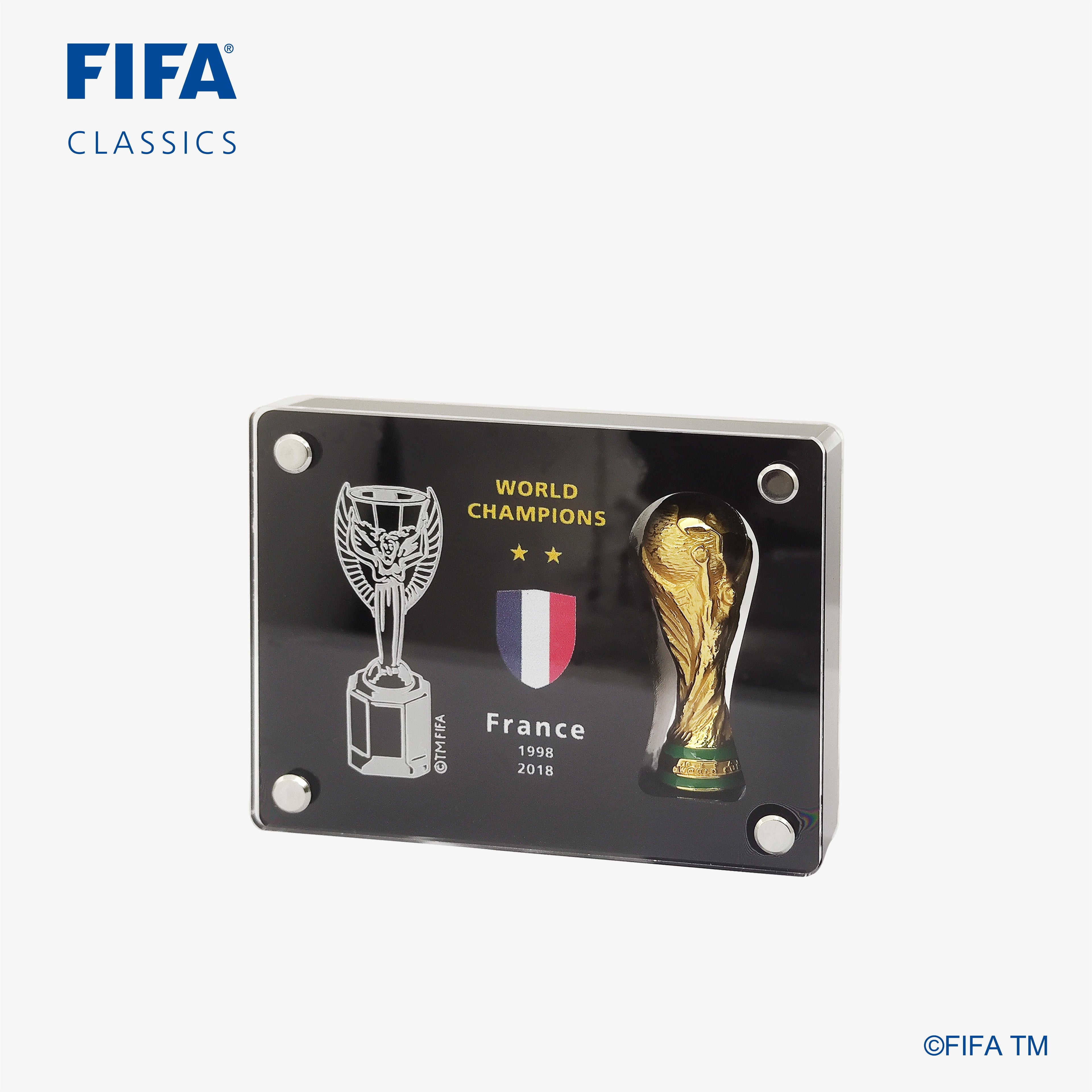 WORLD  CHAMPION TROPHY REPLICA FRANCE