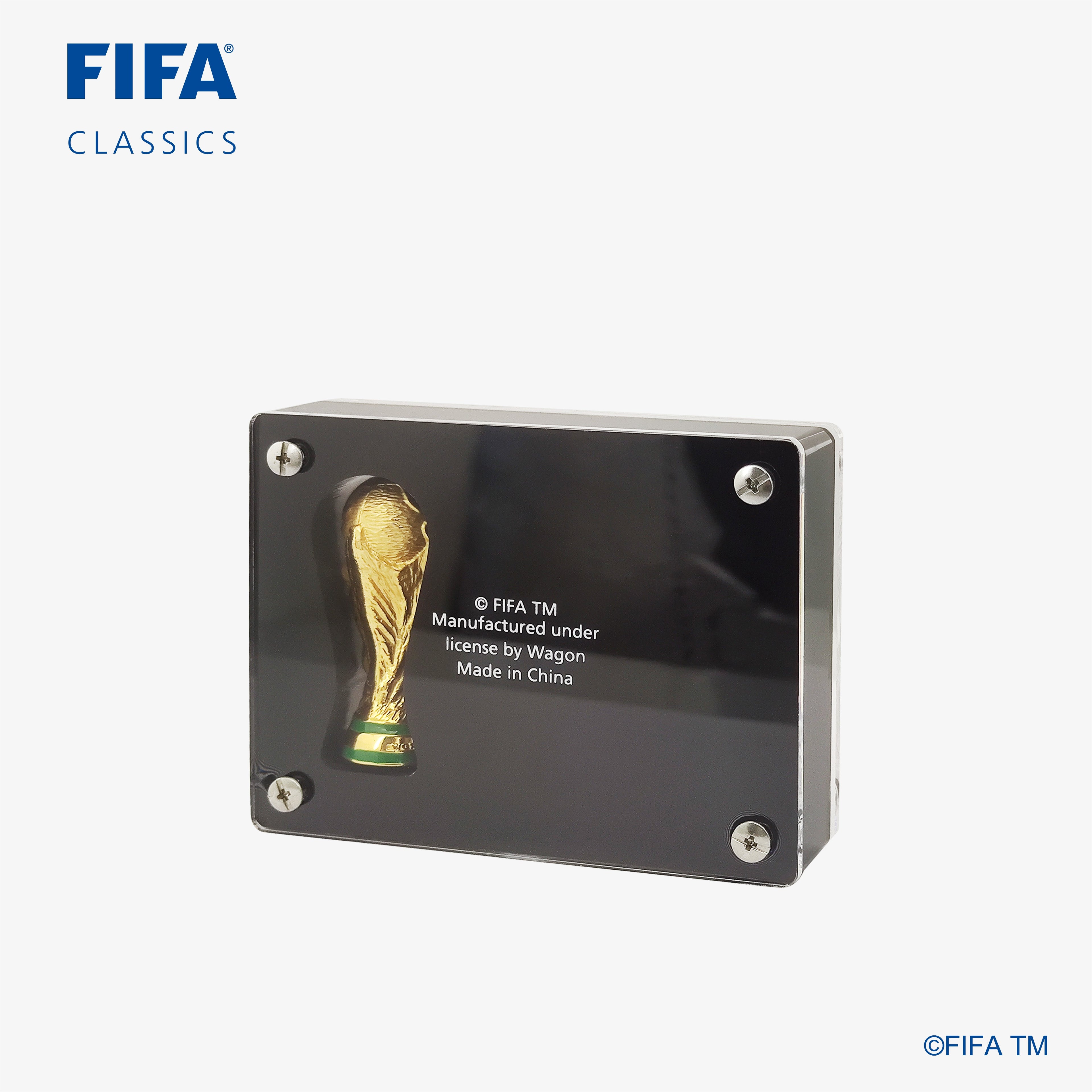 WORLD  CHAMPION TROPHY REPLICA FRANCE